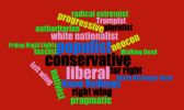 political labels